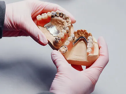 mandibula-artificial-consultorio-dentista